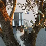 Apartman Greta Kanfanar