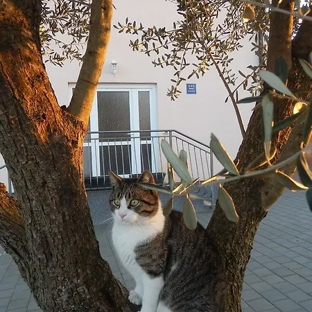 Appartement Greta Kanfanar